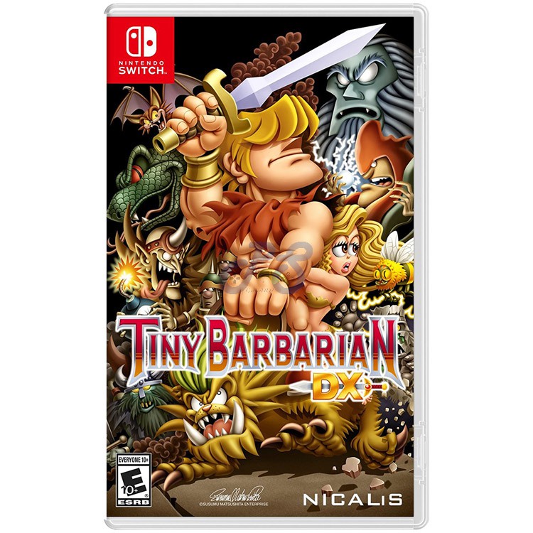 tiny barbarian dx nintendo switch کارکرده