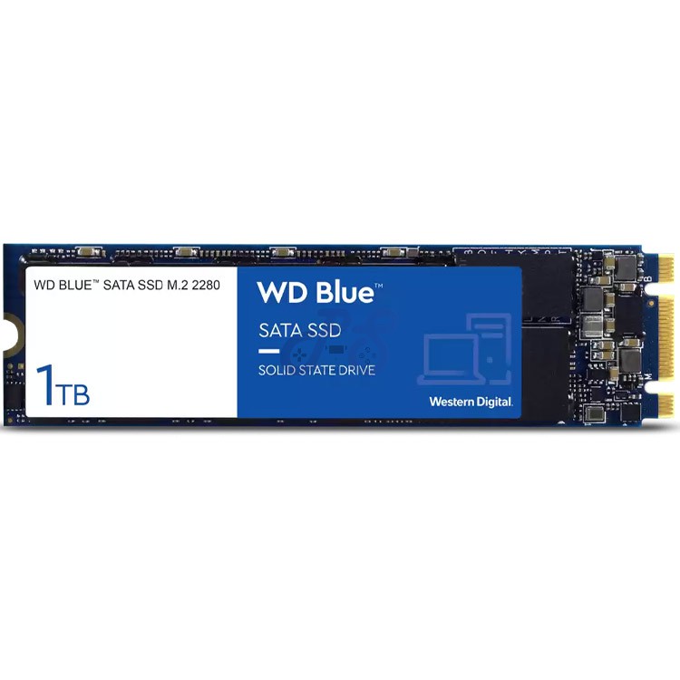 wd blue sata ssd m2 2280 1tb