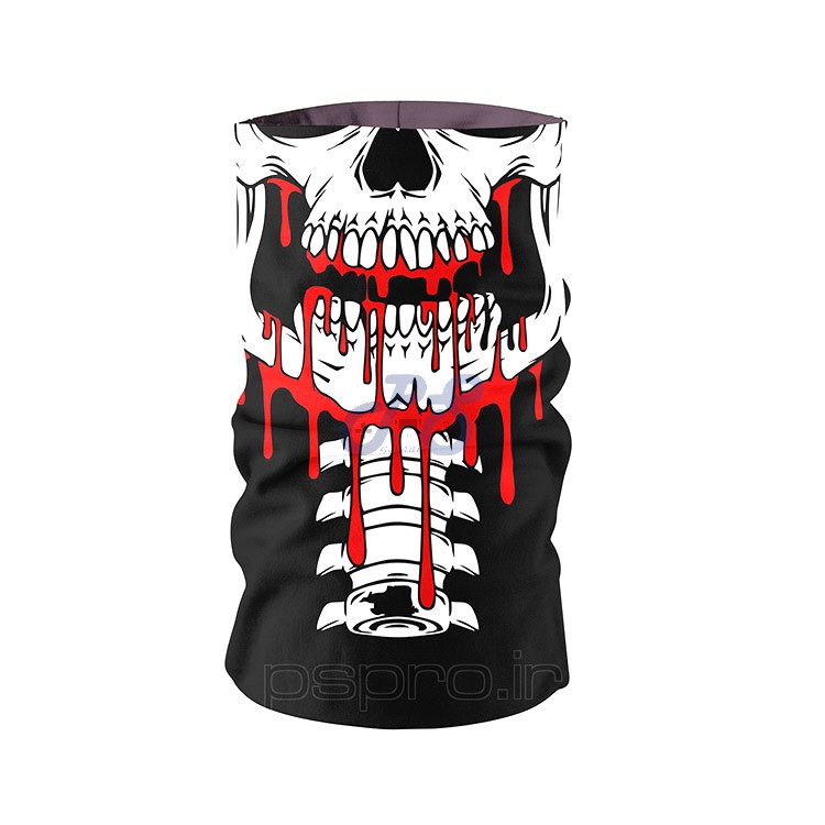 scarf Skull 1